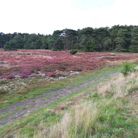 Hébergement de vacances On Balka Close To And Nature *