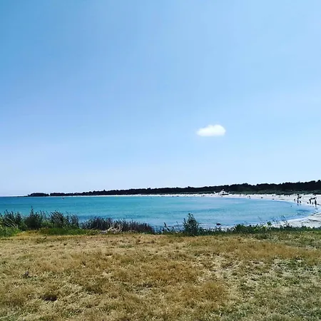 On Balka Close To And Nature * Neksø