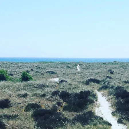 On Balka Close To And Nature Neksø