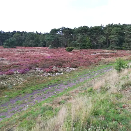 On Balka Close To And Nature
